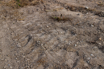 トラクターの通りあと