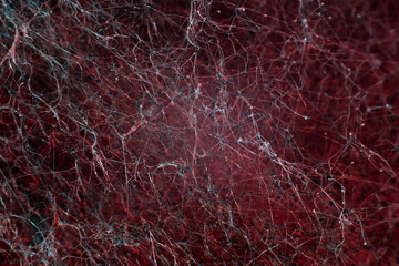 red abstract background textured background. macrophotography of mold. Mold filaments and crystals, like a neural network