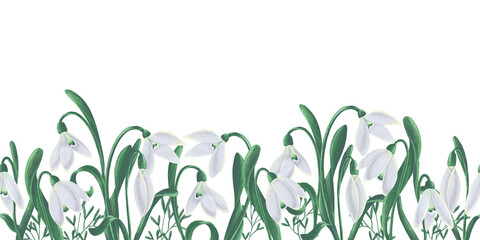 Seamless hand drawn border with snowdrops in white and green colors. Stylish ornament with light flowers on a white background. Pencil texture. Copy space.