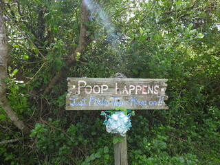 A piece of wood that is been writing on with blue and pink, standing next to a bush for dog owners to take a plastic bag before going on the beach to scoop there dogs poop.