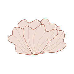 illustration brown beige nude flowers, one line drawing, line art, modern illustration and art, nature and plants minimalist design