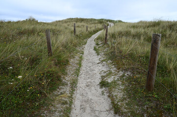 Obraz premium Dune de la plage des Trois Moutons de Lampaul-Ploudalmézeau en Bretagne