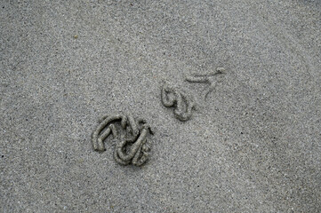 Fototapeta na wymiar Tortillons de sable créé par le vers de plage appelé arénicole en gros plan
