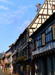 alsace