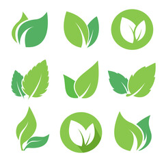 Green leaves logo set for eco organic bio natural products, pharmacy, medicine. Vector flat icons collection isolated on white background. EPS10