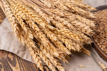 Wheat ears on wooden cracked old table. Sheaf of wheat on vintage background