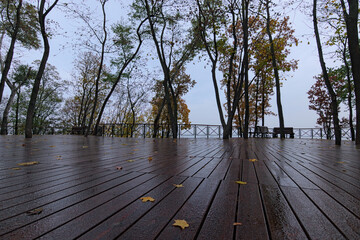 Fototapeta na wymiar Raindrops and yellow leaves on a wooden platform. Empty wooden benches in the park. Rainy autumn morning in Artist?s alley. It is nice place for walking in Kyiv. Blurred landscape background