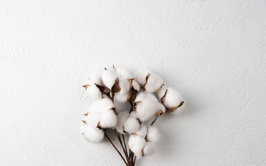 bouquet of cotton flower branch on gray background, top view, flat lay, space for text