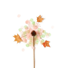 Abstract autumn botanical composition of dried echinacea flower (cone flower), dried maple leaves and confetti. White background. Flat lay. Top view.