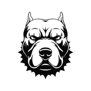 Pete bull head. Vector illustration. Angry dog