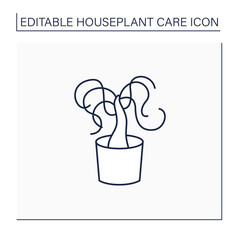 Beaucarnea recurvata line icon. Home gardening.Perennial evergreen plant-xerophyte. Beautiful home plant in pot. Houseplant care concept.Isolated vector illustration.Editable stroke