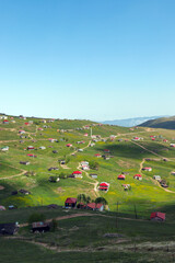 Obraz premium highland houses with colorful roofs.Trabzon ,TURKEY