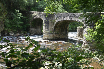 Fototapeta na wymiar Puente de las Brujas and Leitzaran river. Andoian, Gipuzkoa, Basque Country, Spain