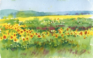 Poster Frankrijk zonnebloemen landschap schilderij aquarel in realistische stijl. Vintage zonnebloem geel veld met bergen. Prachtige natuurkunst voor kunst aan de muur, posters, uitnodigingsachtergrond. © samiradragonfly
