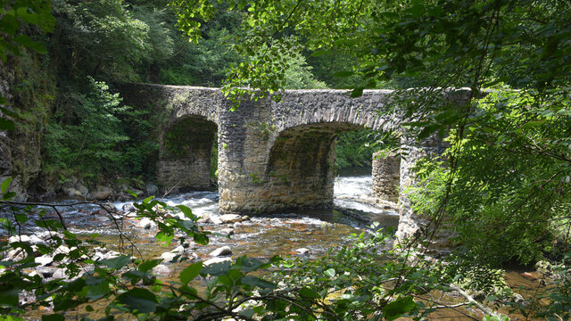 Puente de las Brujas and Leitzaran river. Andoian, Gipuzkoa, Basque Country, Spain