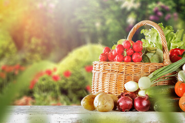 Vegetables on the table in the autumn afternoon and the rays of the setting sun 