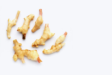 Young ginger on white background.