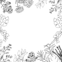 お洒落な手描きの草花を使ったフレーム