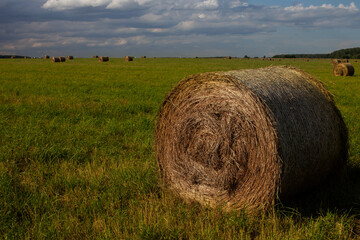 haystacks on green field under the beautiful blue cloudy sky . Hay bale on a field. Russian field.