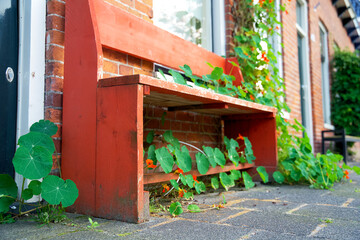 Fototapeta na wymiar Weathered red wooden bench overgrown with plants on a city street in Groningen