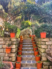 pots in the garden of mountains