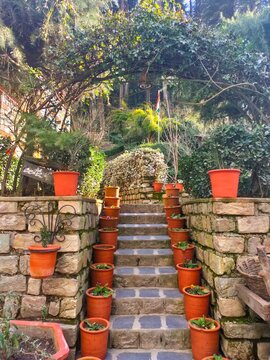pots in the garden of mountains