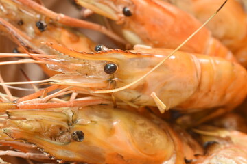 grilled river shrimp arranging with fresh lettuce on bowl dipping spicy sauce