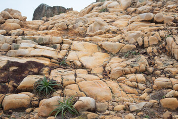 beach rock worn by the wind in shades of sand and black