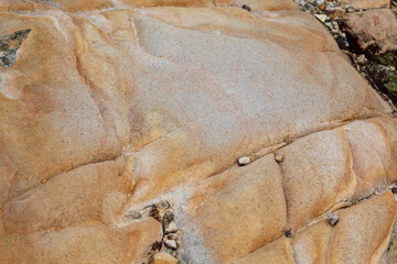 detail of a texture