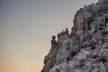 Fototapeta na wymiar The silhouette of a mountain goat on the mountain against the sunset. A goat in Turkey on a mountain. goat in Alanya, Turkey .Landscape of three mountain goat solhouettes on a rocky mountain against a