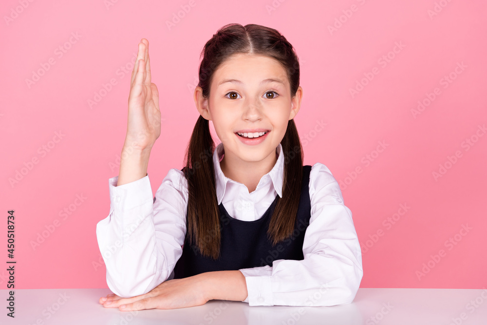 Canvas Prints Photo portrait little girl with tails sitting at desk at school smiling raising hand up isolated pastel pink color background