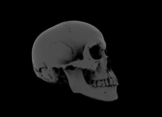 Human skull in profile face a black background. Concept art, death, horror for print, poster. Symbol of spooky Halloween, immortal, pirate. 3d rendering illustration. Graphic Design