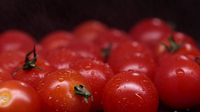 Close-up in slow motion of red ripe tomatoes on a black background. Tomatoes rotate on a round platform and are watered from above with a fine rain