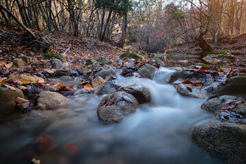 Autumn forest river creek view. Creek from the mountain waterfall in autumn forest sunset. Fall season in forest
