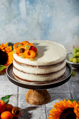 Obraz na płótnie Canvas homemade carrot cake with walnuts and apricots