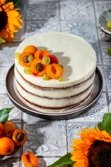 homemade carrot cake with walnuts and apricots
