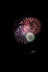 Fototapeta premium firework
