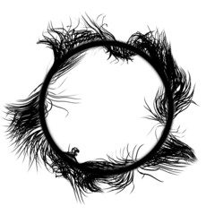 Vector illustration. Black lines emanating from the center in the form of a hoop.