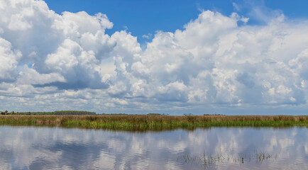 Cumulous clouds over marshland on sunny afternoon