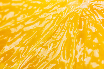 Juicy citrus close-up. Abstract background fruit texture.