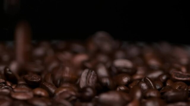 macro shot of coffee beans falling onto other roasted coffee beans. shallow focus, static slow motion shotmacro shot of coffee beans falling onto other roasted coffee beans.