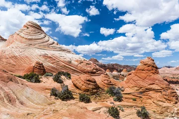 Foto op Plexiglas Coyote Buttes sandstone formations in Utah © Fyle