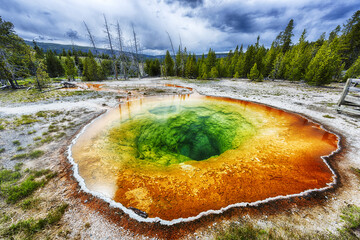 Morning glory pool in Yellowstone national park in the USA - 450528757