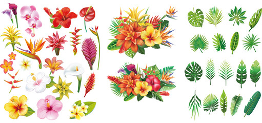 Set of floral elements and Arrangement - obrazy, fototapety, plakaty