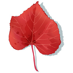Detailed Red maple leaf isolated on white background. Autumn flat style vector illustration.