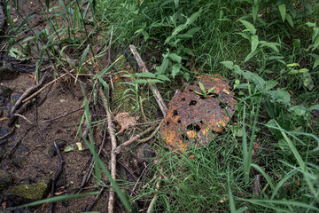some rusted metal garbage in green grass. Human made pollution