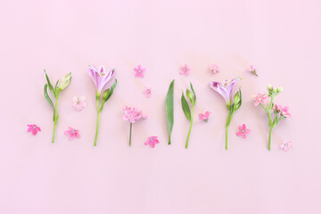 Top view image of pink and purple flowers composition over pastel background .Flat lay
