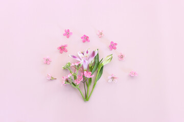 Fototapeta na wymiar Top view image of pink and purple flowers composition over pastel background .Flat lay
