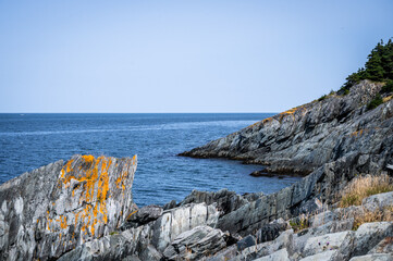 Rugged, rocky coastline in Newfoundland, Canada