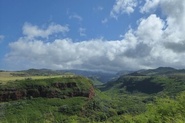 Fototapeta na wymiar Lush Green Scenery, Island of Kauai
